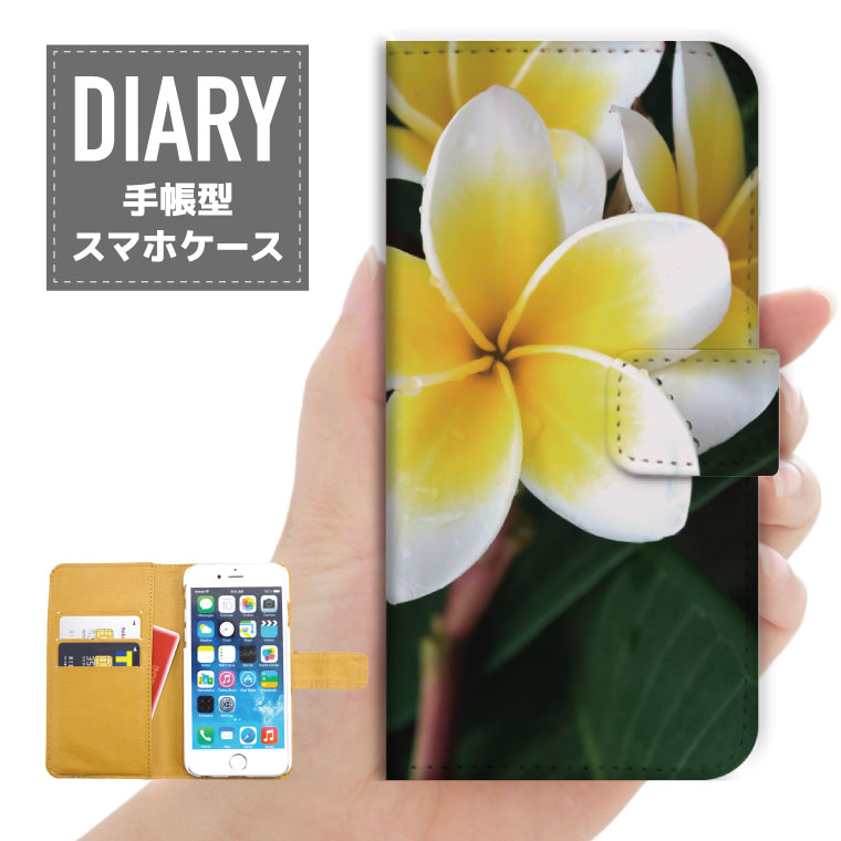 AQUOS wish 2 P[X 蒠^ AQUOSwish2  Hello Summer t[ fUCALOHA An nCA FLOWER O[ u[ zCg IW sN JCC