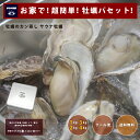 【実店舗より直送】【送料無料(北海道・沖縄・離島は注文後送料加算)】サウナ牡蠣 牡蠣 牡蠣パ おうち パーティ party みんなで 家族で 仲間で アウトドア oyster キャンプ おいしい 美味しい 整いました カン蒸しセット 1キロ 2キロ 3キロ 4キロ