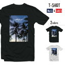 TVc Y  fB[X   ubN zCg T[tB T[t@[ SURF HAWAII ALOHA nCA Y C LA SUMMER