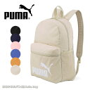 プーマ PUMA キッズ バックパック リュックサック 22L フェイズ F-075487 通園 遠足 通学 サッカー アウトドア キャンプ レジャー ディパック デイバッグ リュックサック スポーツバッグ リュック キッズ 撥水 防災 プレゼント