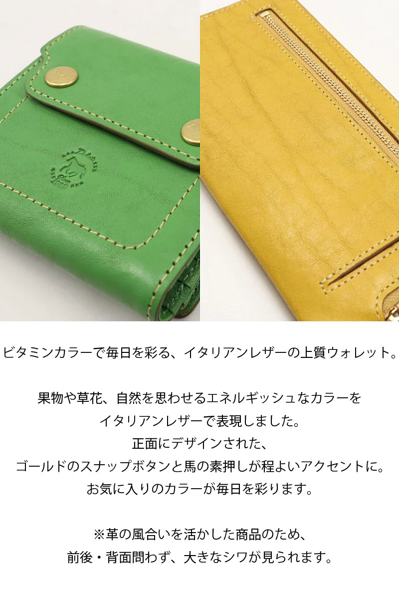 ������ Dakota �ܥå���������ޤ���� 2���ޤ���� �������ߡ��� 0031900 �������� ���� �ޤ���� ����ѥ��� �������� �����ꥢ��쥶�� �ӥ��ߥ󥫥顼 ������ �ʥ�����ƥ����� ��ǥ����� �ܳ� ������� �͵�