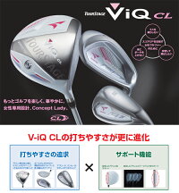 viq2016_clir