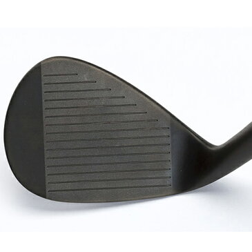 【ゼロス7】◆レディース◆Kasco(キャスコ)■黒■ ドルフィンウェッジ DW113BLK N.S.PRO ZEROS7(ゼロス7)スチールシャフト(レディース仕様)