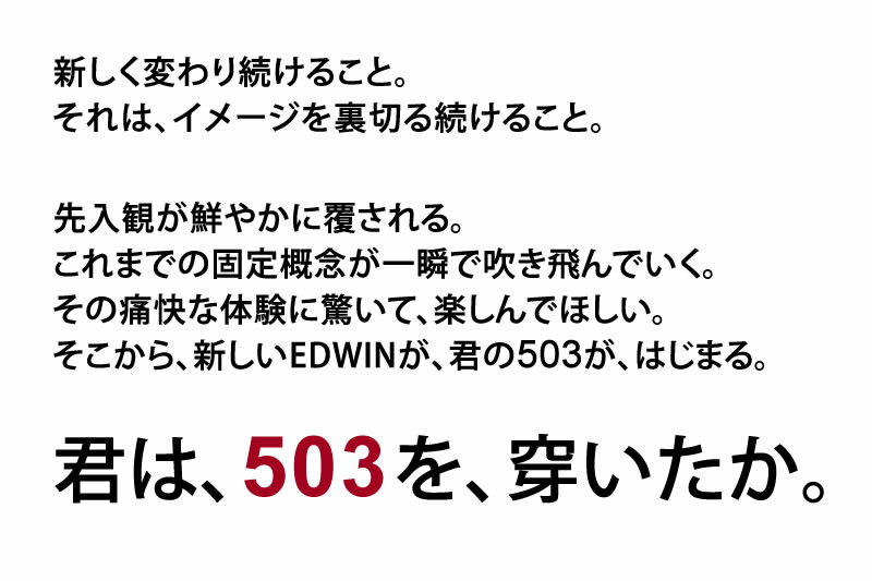 EDWIN（エドウイン）『503レギュラーストレート（E50303-146）』