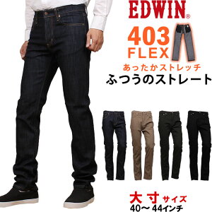 10%OFFEDWIN ɥ 403 磻ɥե դĤ ȥ졼ȥɥ 󥿡ʥʥ١å WILD FIRE E403W-big_414_421ǹ9350βʡ8500ˡ