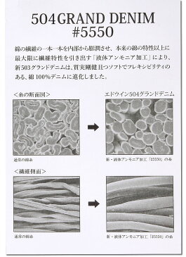 【5%OFF】【国内送料無料】504 ルーズ・ストレート/NEW503EDWIN/エドウィン/エドウイン/503シリーズ/ブラック/ナチュラルストレッチED504_193_133_100_246_226アクス三信/AXS SANSHIN/サンシン