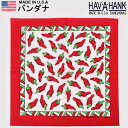 HAV-A-HANK ハバハンク バンダナHAVAHANK_SOU087【ゆうパケット200円(ポスト投函・日時指定不可)対応商品】【税込¥495(本体価格¥450)】