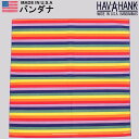 HAV-A-HANK@nonN o_iiC{[jHAVAHANK_NOV783y䂤pPbg200~i|XgEwsjΉizyō495i{̉i450jz