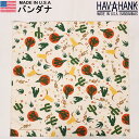 HAV-A-HANK　ハバハンク バンダナ（ワイルドウエスト）HAVAHANK_NOV753【ゆうパケット200円（ポスト投函・日時指定不可）対応商品】【税込￥495（本体価格￥450）】