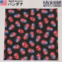 HAV-A-HANK ハバハンク バンダナ(ロック&ロール)HAVAHANK_NOV750【ゆうパケット200円(ポスト投函・日時指定不可)対応商品】【税込¥495(本体価格¥450)】