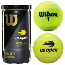 ウィルソン US オープン エクストラデューティ WILSON US OPEN EXTRA DUTY 2球入 硬式 テニスボール 大会使用球