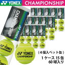 ヨネックス チャンピオンシップ YONEX CHANPIONSHIP TB-CHS4 1箱 15缶 60球入 硬式 テニスボール 練習球