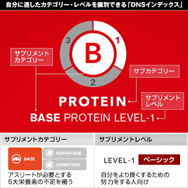 DNS プロテインホエイ100 【350g】 あす楽対応 プロテイン ホエイ サプリ サプリメント チョコ チョコレート カフェオレ ストロベリー レモン 抹茶 粉末 おすすめ ランニング 味 ウエイトアップ ウェイトアップ お試し ホエイプロテイン100 ホエイ100