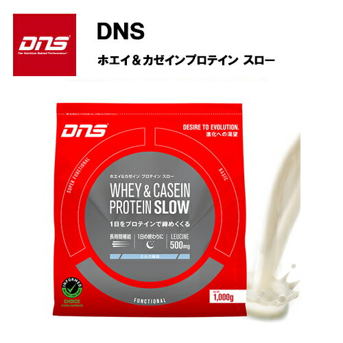 【1日は店内最大ポイント10倍】【即納】DNS ホエイ＆カゼイン プロテイン SLOW ミルク風味 (1kg) スロー スロウ プロテイン ホエイ ホエイプロテイン カゼイン カゼインプロテイン ロイシン おすすめ ランニング 味 種類