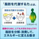 【即納】ヘルシアウォーター 500ml×24本入り あす楽対応 ドリンク 送料無料 トクホ 特保 ペットボトル 飲料 飲料水 500ml 24本 ヘルシア 茶カテキン 体脂肪 特定保健用食品 スポーツドリンク 500ml×24本 熱中症対策 熱中症対策グッズ