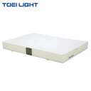 トーエイライト エバーマット(ポリエステル帆布)・すべり止め付 200×300×30cm G2022 1枚 TOEI LIGHT 屋内用 法人限定商品