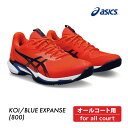ASICS アシックス SOLUTION SPEED FF 3 ソリューションスピードFF3 1041A438-800 オールコート 2024SS テニスシュー...