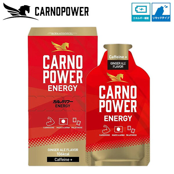 カルノパワーENERGY ジンジャエール 40g×10個