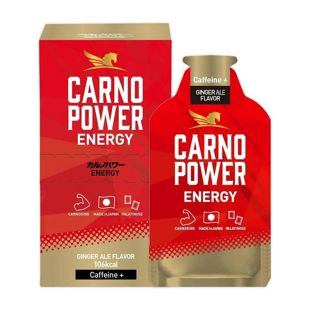 ハマリの健康食品 カルノパワーENERGY ジンジャエール 40g×10個 GINGER ALE Flavor スポーツサプリ エネルギー補給ジェル CARNOPOWER エナジー axtos-10031102 アクトス楽天市場店 サンプル画像2