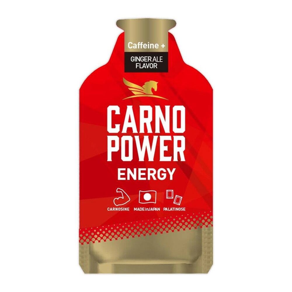 ハマリの健康食品 カルノパワーENERGY ジンジャエール 40g×10個 GINGER ALE Flavor スポーツサプリ エネルギー補給ジェル CARNOPOWER エナジー axtos-10031102 アクトス楽天市場店 サンプル画像3