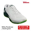 WILSON ラッシュプロエース RUSH PRO ACE オールコート WRS331900 メンズ ウィルソン グリーン 2024SS テニスシューズ おすすめ グリーン