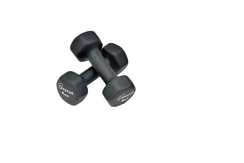 【スーパーSALE期間ポイントUP商品】TOEI LIGHT ラバーコートダンベル4 H7173 トーエイライト フィットネス・トレーニング