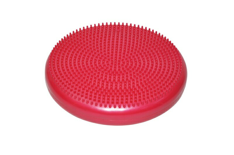 TOEI LIGHT バランスクッション H8955R トーエイライト フィットネス・トレーニング