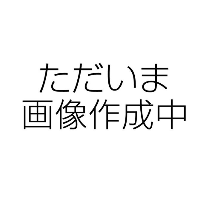 【割引クーポン配布中】【予約販売 9月下旬入荷予定】油圧式 フロアジャッキ 1t ガレージジャッキ 1.0t 1トン フロア式ジャッキ 手動 タイヤ交換 オイル交換 持ち上げ 高さ調整 簡単 ジャッキアップ