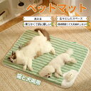 犬 猫 ペットマット ペット ペットベッド ペット毛布 ペット布団 ペットマット 犬用品 猫用品 冬 マット 冬用 洗える ふわふわ ネコベッド ねこ 犬 あったか おしゃれ 可愛い ラウンド クッション 冬寝袋 暖かい 洗える 寒さ対策 冬グッズ 寒さ対策 保温 防寒 プレゼント