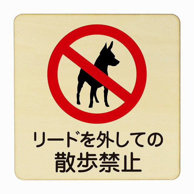 リードを外しての散歩禁止 医療用 病院 医者 診察 検査 検診 治療 クリニック ドクター 正方形 9x9cm 1..