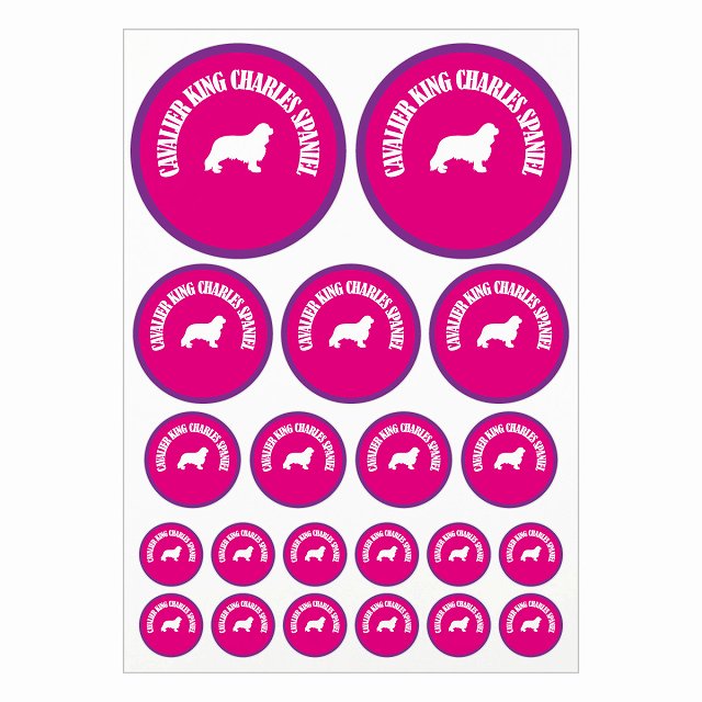 ドッグ ステッカー カラフル キャバリアキングチャールズスパニエル ピンク＆パープル A4サイズ まとめ..