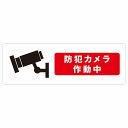 防犯カメラ作動中 サインステッカー シール 長方形 安全対策 注意喚起 警告 お願い 防水 屋内 屋外 ピクトサイン 表示 案内 場所 看板 施設 おしゃれ シンプル