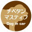 チベタンマスティフの画像