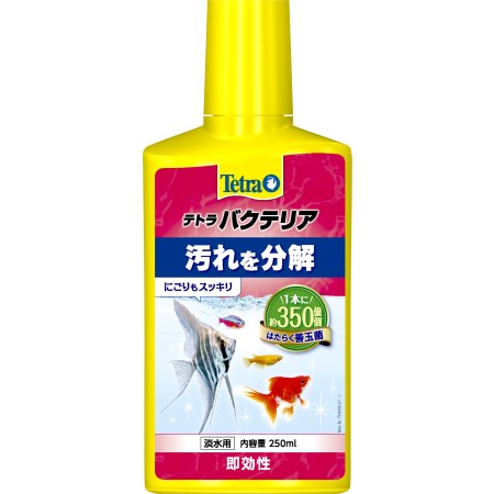 テトラ バクテリア 250ml【スペクトラム テトラ ペット アクア 水質】