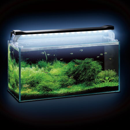クリアLED POWER SLIM 450ブラック【ジェックス 照明 観賞魚 45cm水槽 LED 長寿命】 クリアLED POWER SLIM 450ブラック【ジェックス 照明 観賞魚 45cm水槽 LED 長寿命】