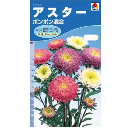 タキイの種 アスターポンポン混合【RCP】