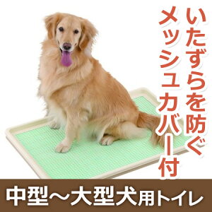 トイレトレー｜大型犬用！大きめサイズのおすすめは？