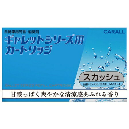 バリエーション豊富な、ギャレットシリーズ専用の詰替用甘酸っぱく爽やかな香り【大橋産業 カー用品 車 消臭剤 芳香剤】