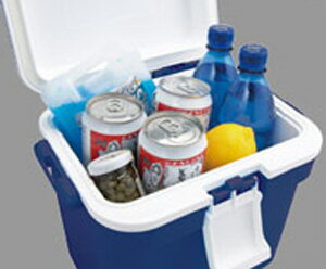 クーラーボックス フォレスクルー #10【クーラーバッグ クーラーボックス アウトドア キャンプ バーベキュー 行楽】通販格安セール情報 楽天 通販