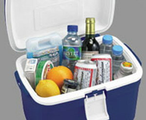 クーラーボックス フォレスクルー #13【クーラーバッグ クーラーボックス アウトドア キャンプ バーベキュー 行楽】通販格安セール情報 楽天 通販