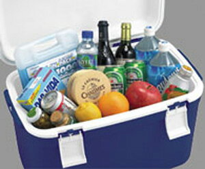 クーラーボックス フォレスクルー #35【クーラーバッグ クーラーボックス アウトドア キャンプ バーベキュー 行楽】通販格安セール情報 楽天 通販