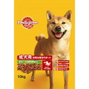 ペディグリー 成犬用 元気な毎日サポート 旨みビーフ＆緑黄色野菜入り(10kg)[ドッグフード]