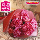 シャクヤクの花束【M-27】【カーネーション 花束 ピンク フラワーギフト 母の日 母の日フラワーギフト 母の日ギフト 花】