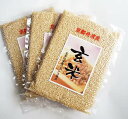 京都丹波の玄米 お試しパック300g×3袋セット 京都産米令和5年産米 京丹波産 こしひかり玄米 新包装 源流水耕作 コシヒカリ　新米