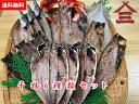 【送料無料】干物セットB冷凍 干物 アジ カマス サバ 金目鯛 いか サンマ 海産物 クリマス お歳暮 ギフト