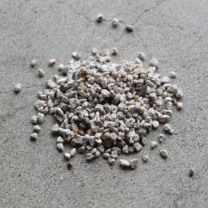 ���� ��γ 2��åȥ� �ѥߥ� ��ʬ�� ���� ������ �ޥ���� ȭ����