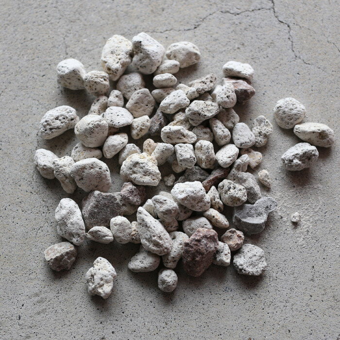 ���� ��γ 2��åȥ� �ѥߥ� ��ʬ�� ���� ������ �ޥ���� ȭ����