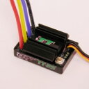 Mtroniks TT-25 (ブラシモーター用)