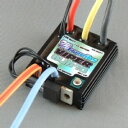 Mtroniks Viper Sub10 (ブラシモーター用)