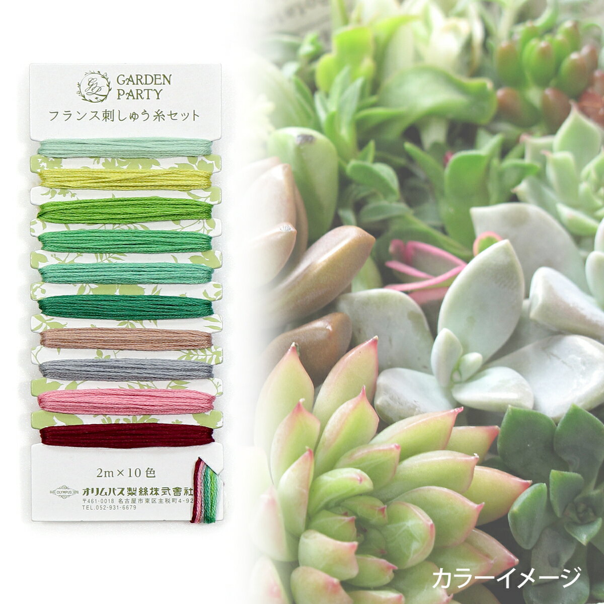 Olympus(オリムパス)　GARDEN PARTY　フランス刺しゅう糸セット GP-C11　フォレス...